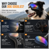 Dog Goggles for Medium & Large Dogs