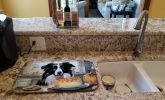 Border Collie Fall Kitchen Pumpkins Dish Drying Mat Absorbent Dish Drying Mat Pad for Kitchen Counter Dish Drainer Mat for Countertop, 14 x 21"