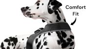 Long Range Tracking Pet Tracker GSM GPS Tracking Collars for Hunting Dogs Size:XS