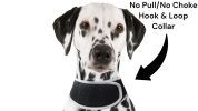 Realtime GPS Dog Collar High Rated Reviews Pet Location Finder w/ App Size:M