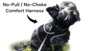 Inexpensive Dog Security Surveillance Pocket GPS Pets Tracking Device Size:L