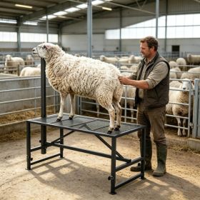 Livestock Stand with Adjustable Height and Metal (Option: default title)